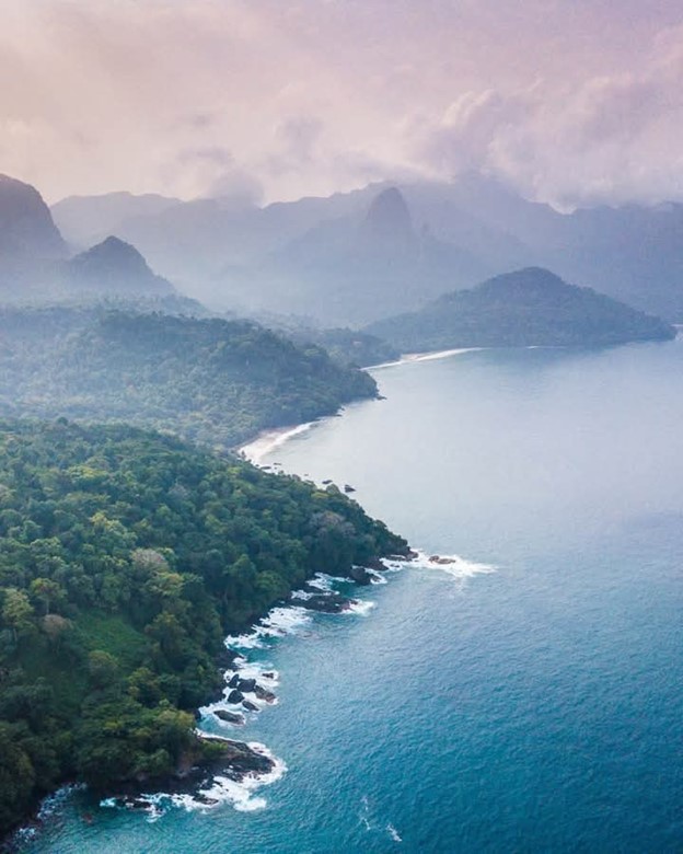 Institutional Architecture